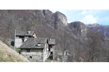 Sfoglia la galleria