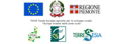 Fondo europeo agricolo per lo sviluppo rurale (FEASR)